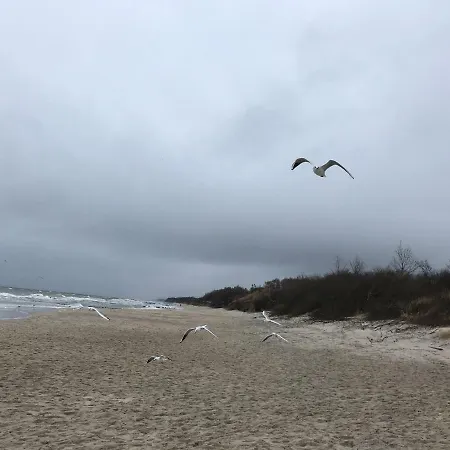 דירה Holenderski Feniks קולובז'ג