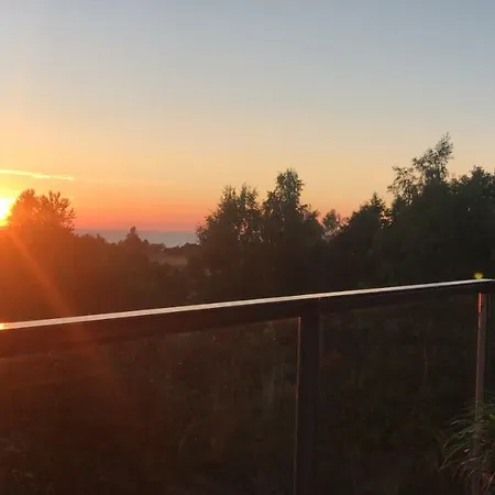 Holenderski Feniks *