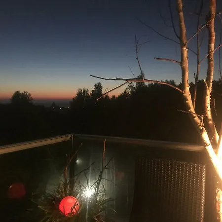 Holenderski Feniks *