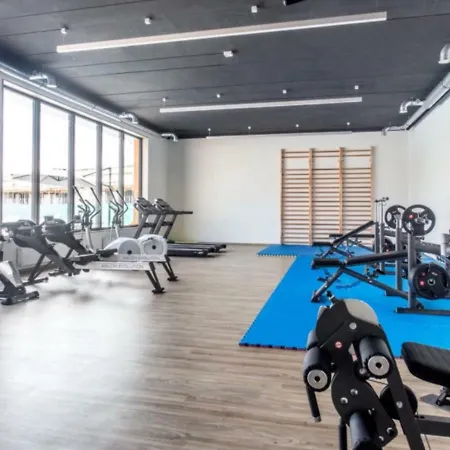 Holenderski Feniks Appartement