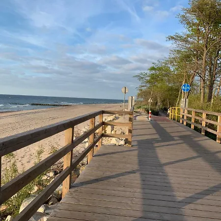 Holenderski Feniks *