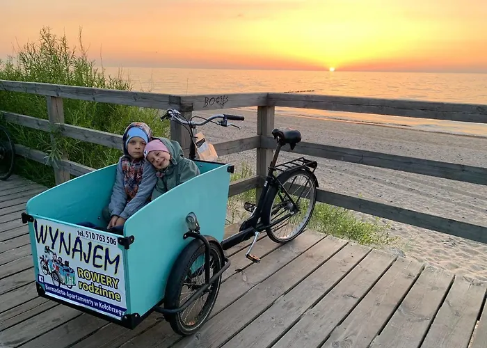 Holenderski Feniks *