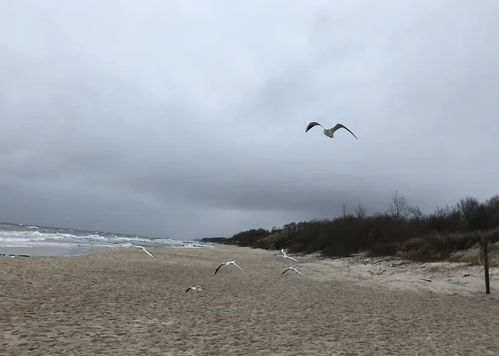アパート Holenderski Feniks コウォブジェク