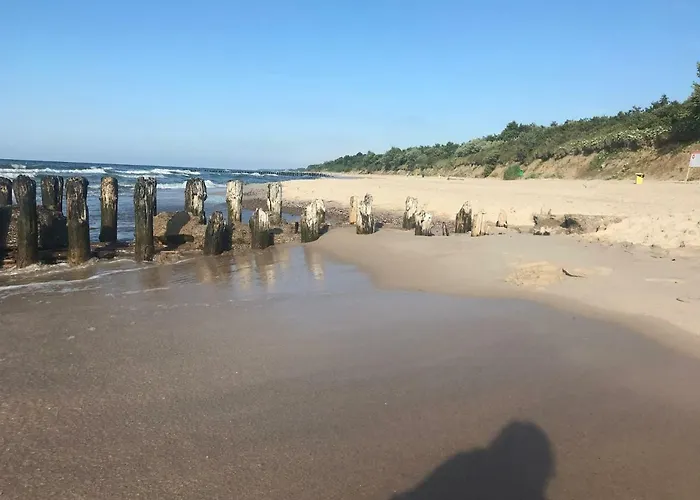 Holenderski Feniks コウォブジェク