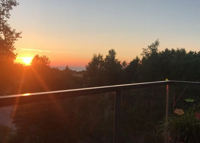 Holenderski Feniks *