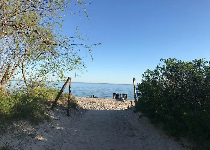 Holenderski Feniks アパート