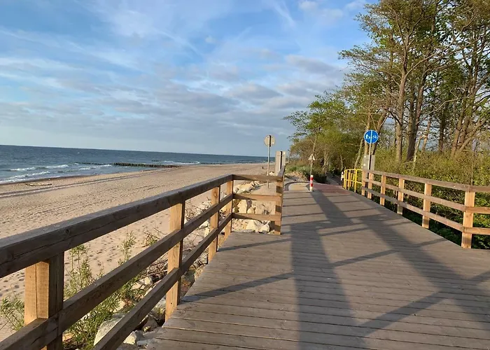 Holenderski Feniks *