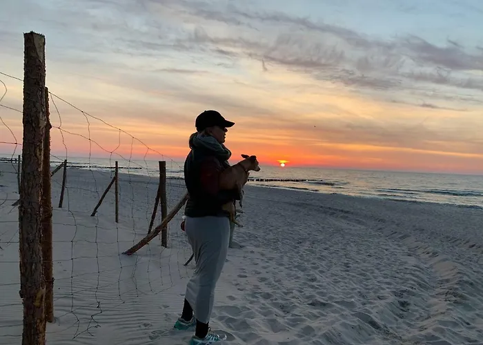 アパート Holenderski Feniks *